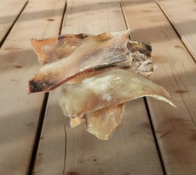 Лопаточный хрящ